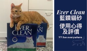 Ever Clean藍鑽貓砂