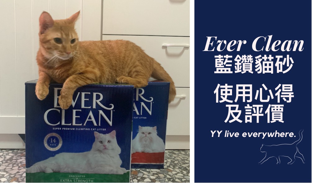 【Ever Clean藍鑽貓砂】開箱、評價、使用狀況及心得總整理 | 貓砂評價老實說