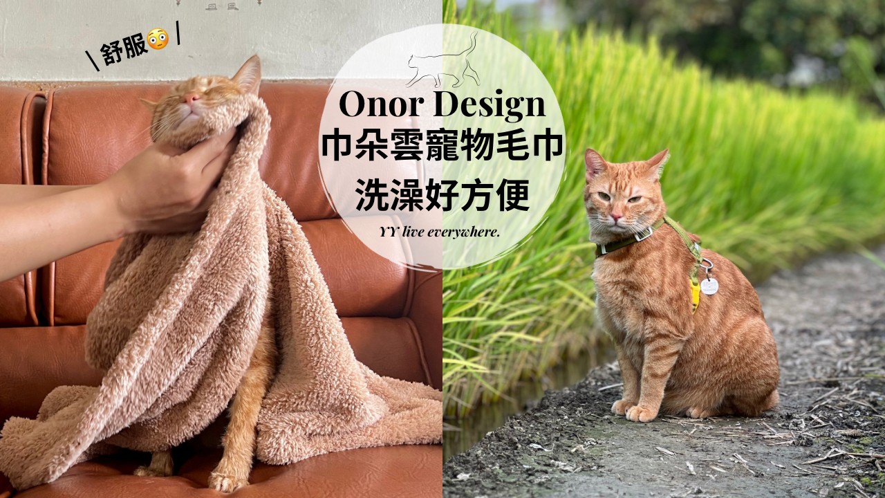 【貓用品】Onor Design巾朵雲寵物毛巾開箱、分享/寵物洗澡必備、
