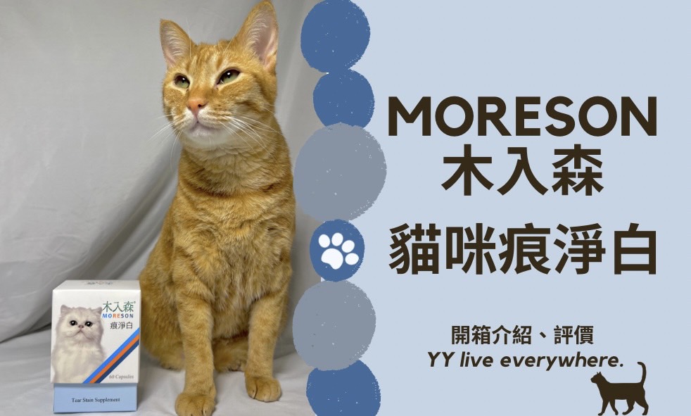 【木入森MORESON】貓咪痕淨白開箱介紹、使用評價