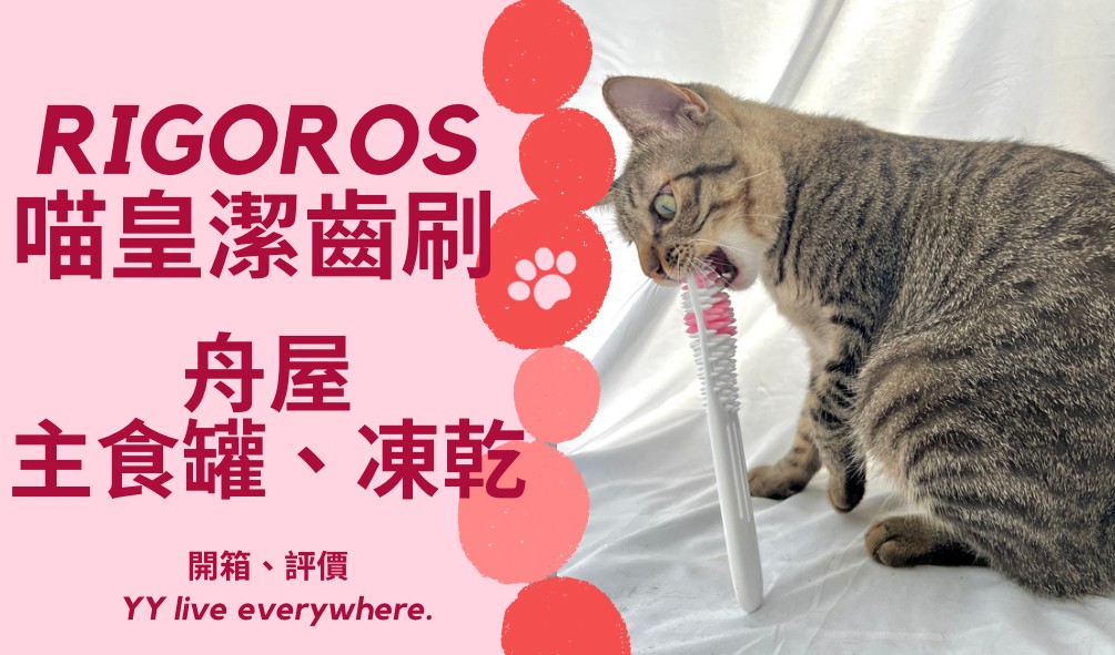 【貓用品】Rigoros喵皇潔齒刷/開箱評價貓咪刷牙/貓必備用品/加碼介紹舟屋寵物食品